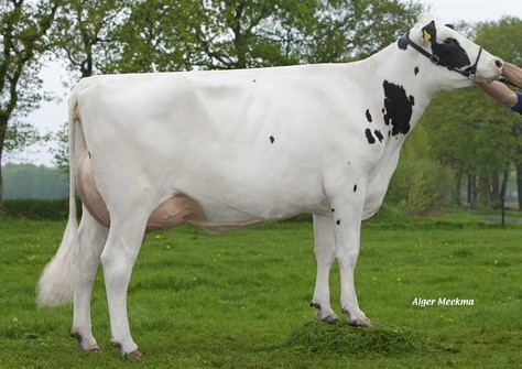 Red Rocks Jacolien 1 RF VG-86