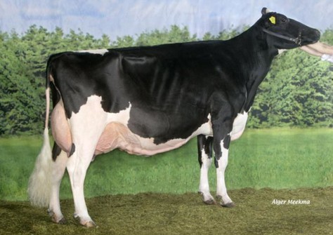 Jimm Holstein Hellen 585 EX93 EX-93