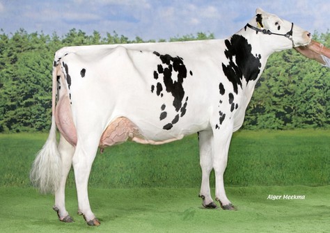 Jimm Holstein Hellen 589  EX-94