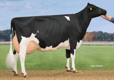 7th lact. / >100.000 kgM: JK Eder Delta Alana RDC EX-90