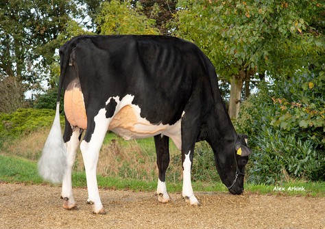 JK Eder DG Awesome Esmeralda RDC VG-86