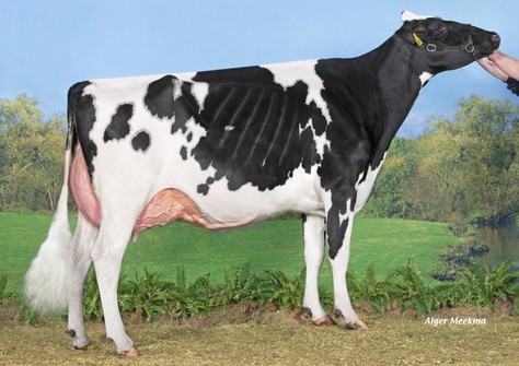 JK Eder DG Esmeralda EX-92