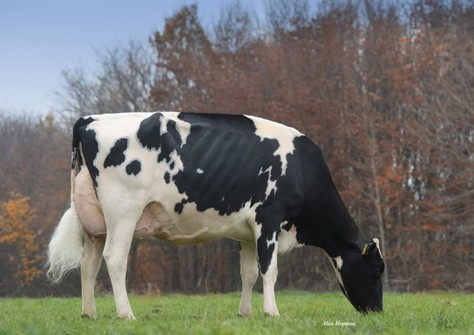 JK Eder DG Esmeralda EX-92