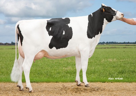 Josefien V/H Zomerbloemhof VG-86