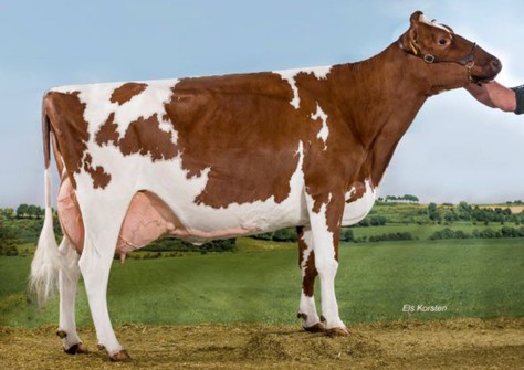 JU Lonia 167 Red EX-92