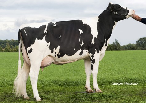 Wilder Kanu 111 RDC VG-88