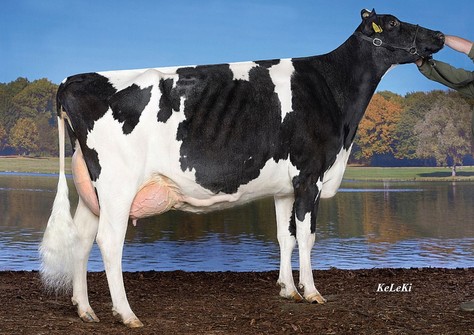 KHE Illinois VG-88