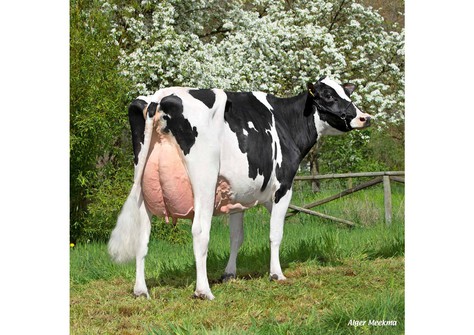 KHE I'm Good VG-87