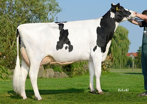 KHE India VG-88