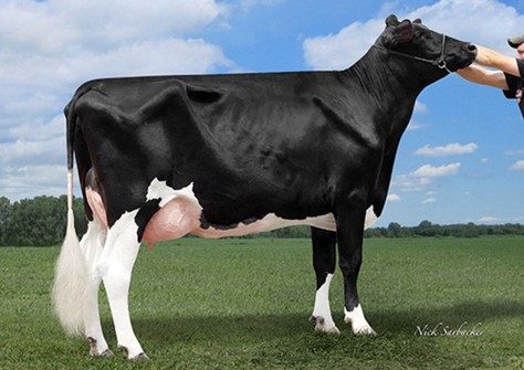 KHW Alxndr Ayako VG-85