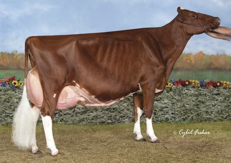 KHW Regiment Apple-Red EX-96