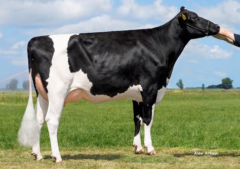 K&L Poppe Gonda VG-86