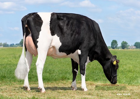 K&L Poppe Gonda VG-86