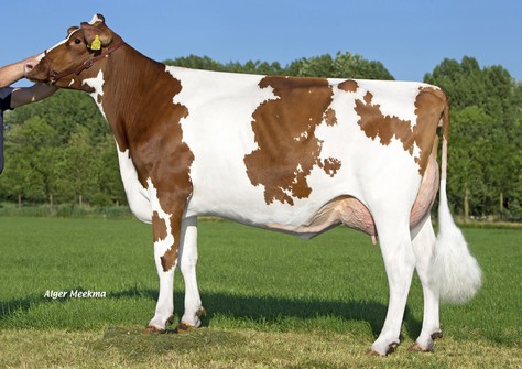 K&L RM Marica Red VG-87