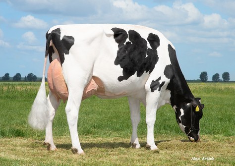 K&L RM Maryanne RDC VG-87