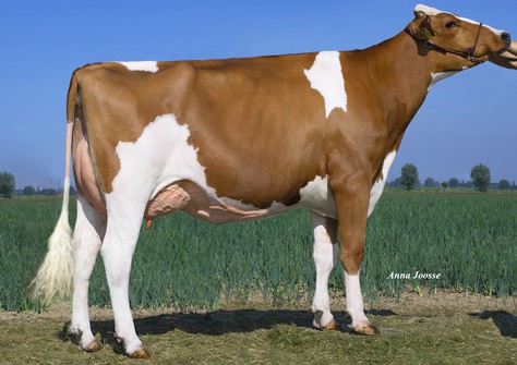 K&L RM Sarina P Red VG-88