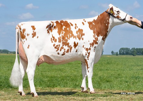 K&L RM Soraya Red VG-85