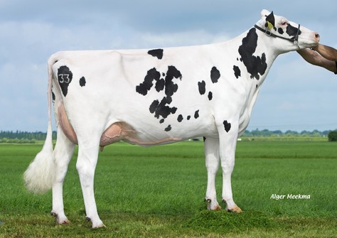 K&L SG Dellia VG-86