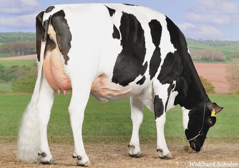 KNS Dalista VG-87