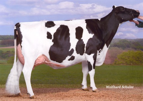 KNS Dalista VG-87