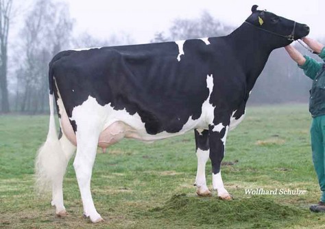 KNS Hispania VG-88