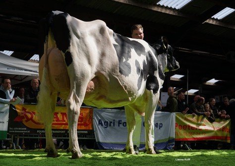 KNS Molina P RDC VG-89 KNS Molina P RDC VG-89