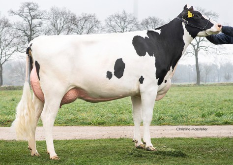 KOE Meghan P RDC VG-86