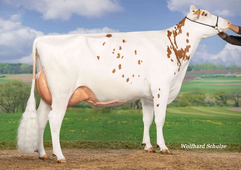 KOE Monza Red VG-87