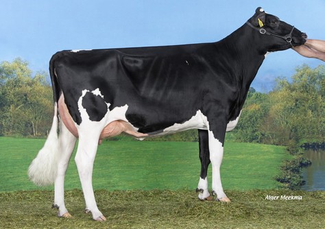 Koepon Chv Regenia 148 VG-87