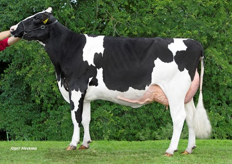Koepon Gameday Range 151 RDC VG-86