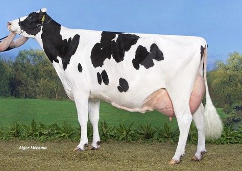 Koepon Iota Classy 98 VG-86