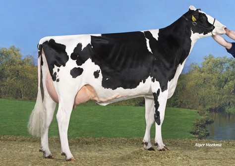 Koepon Mano Classy 90 VG-85