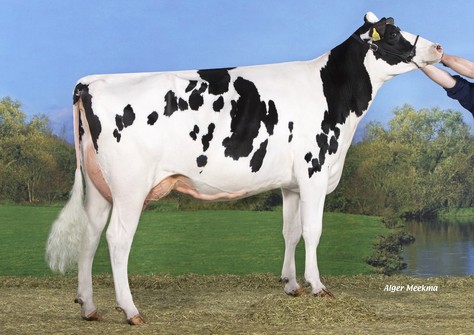 Koepon Mano Classy 93 VG-87