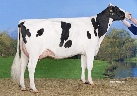 Koepon Mano Regenia 68 VG-87