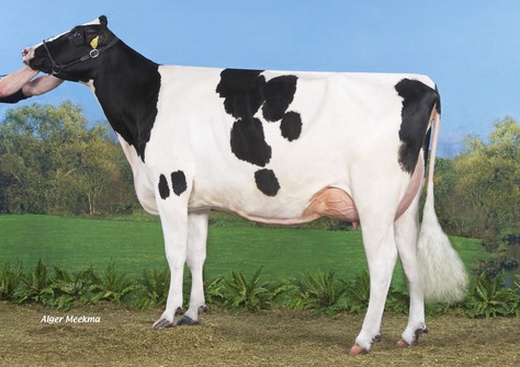 Koepon Mog Regenia 125 VG-87