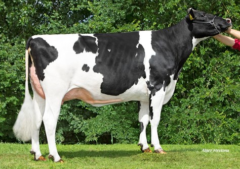 Koepon Ranger Classy 496 RDC VG-87