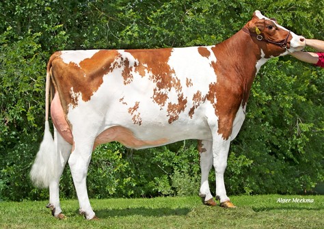 Koepon Ranger P Discovery 3 P Red VG-86