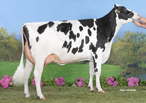 Koepon Slvr Classy 228 VG-86