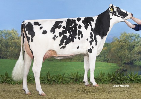 Koepon Snow Barbie 6 VG-85