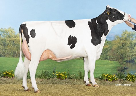 Koepon Star Range 78 RDC VG-87