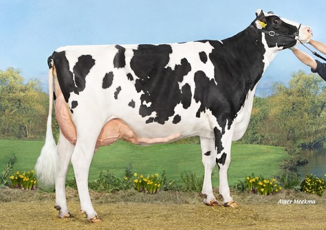 Koepon Top Ruby 52 RF VG-87