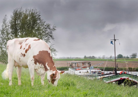 Lakeside Ups Red Range VG-86