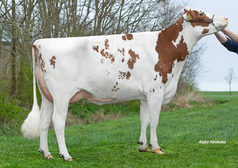 Lakeside UPS Red Range VG-86