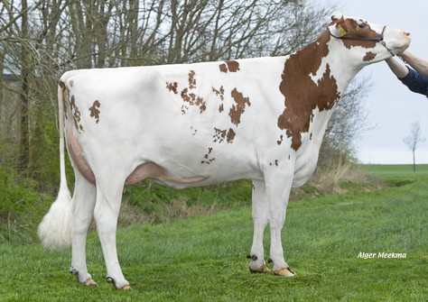 Lakeside Ups Red Range VG-86