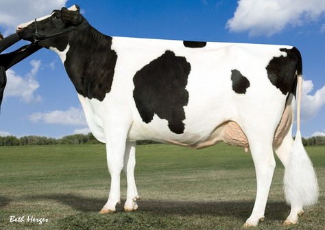 Larcrest Chenoa VG-87 Larcrest Chenoa VG-87
