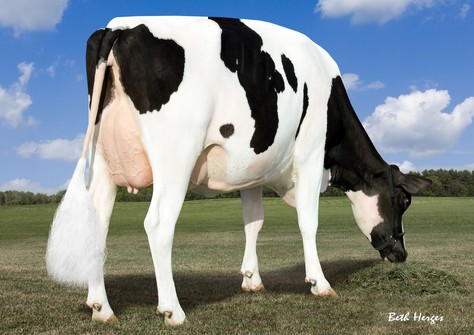 Larcrest Chenoa VG-87