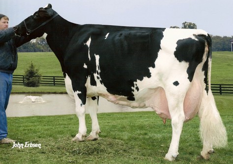 Larcrest Juror Chanel EX-93