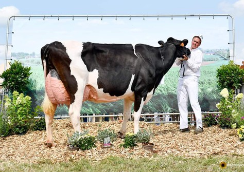 Lola V/H Zomerbloemhof 3lac EX-92