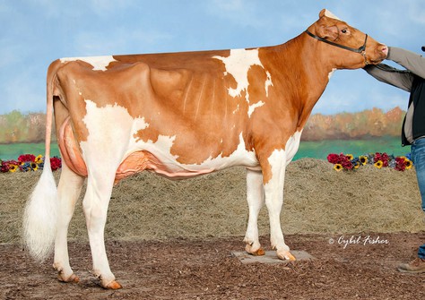 Luck-E Awesome Joy-Red EX-93 Luck-E Awesome Joy-Red EX-93