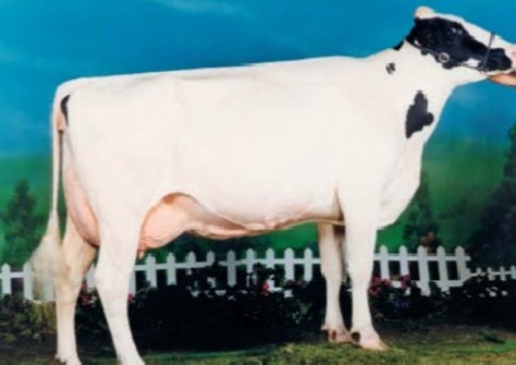 MABEL ASTRE PIVA EX-90